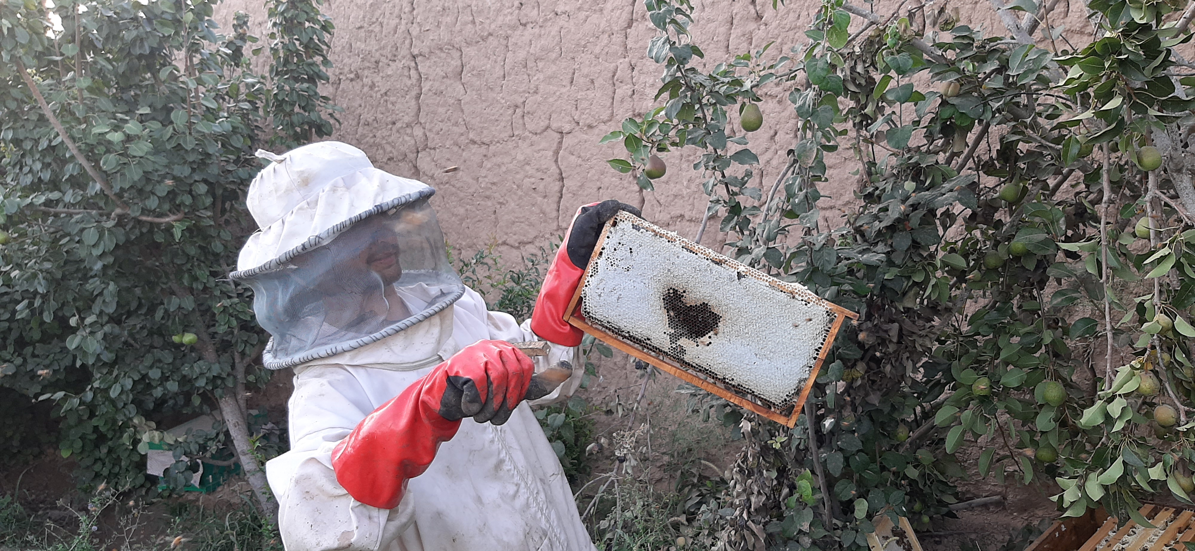 Khazra Honey
