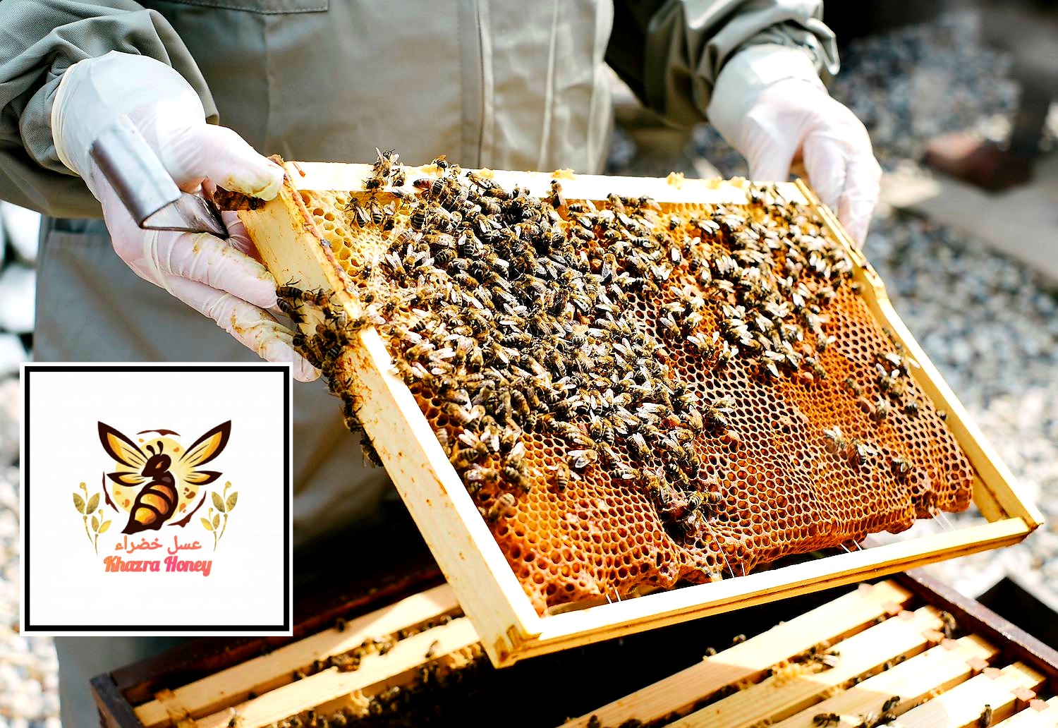 Khazra Honey