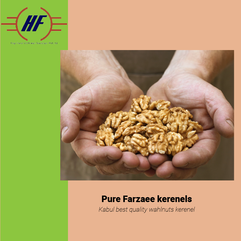 Afghan fazaee walnuts, bulk supply