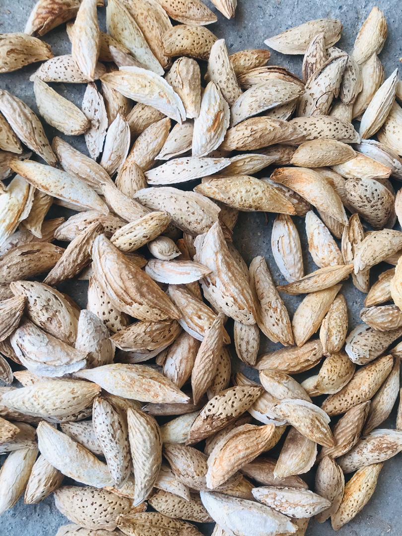 Afghan Setarbaye Almond with soft shell, price and quantity