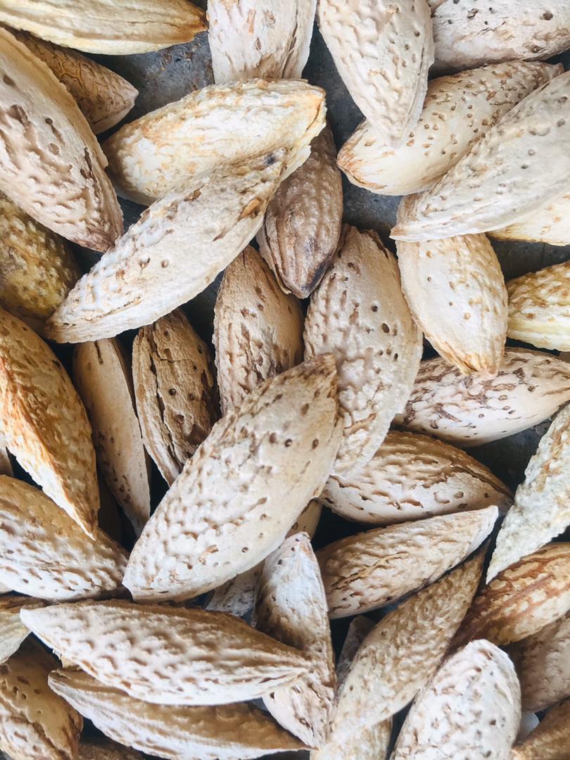 Afgan Sohani Almond with shell, bulk supply, price for per 7 kg
