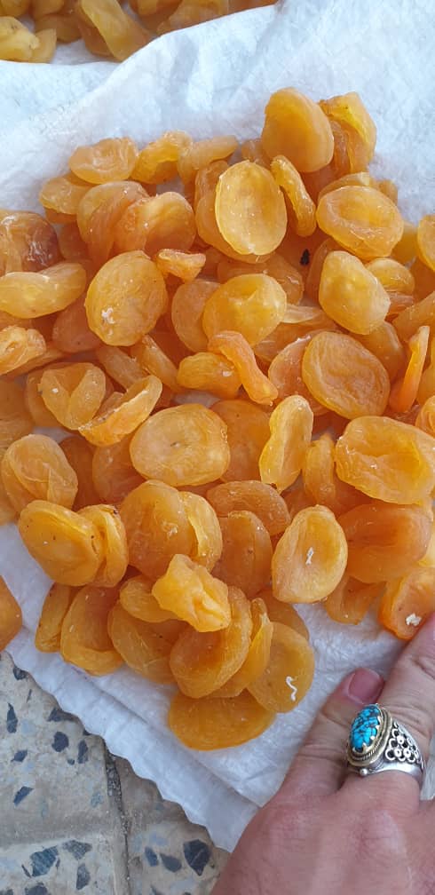 Afghan Sun Dried Apricots (Ashtaq) price for bulk supply