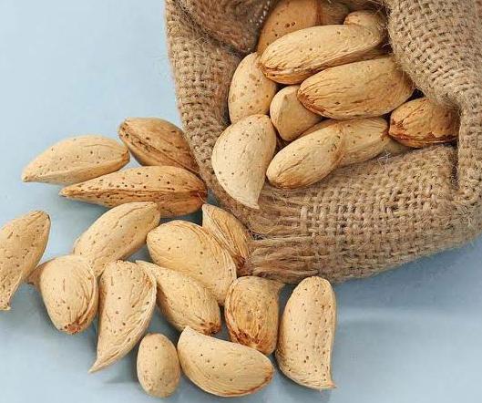Kagzi Almond Paper shell ( One Tree )