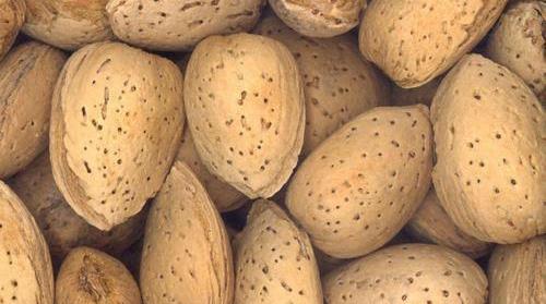 Almond kagzi thin shell ( One tree )