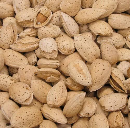 Almond thin shell  ( One Shell )