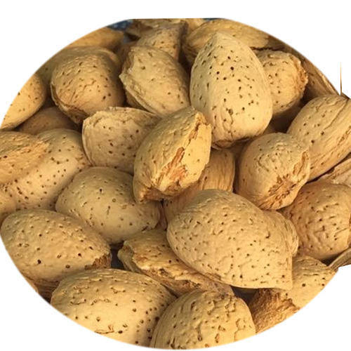 Almond One Tree thin shell