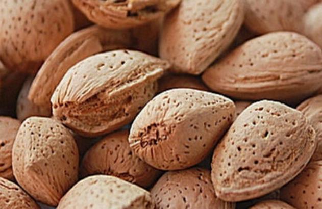 Hard shell Almonds ( One Tree )
