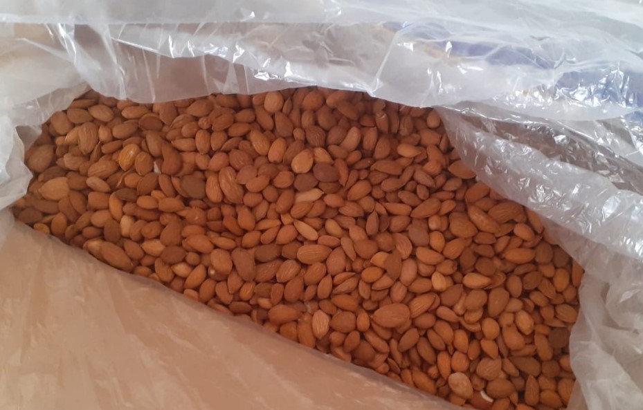 Afghani Gurbandi Almond (1 box -14 kg )