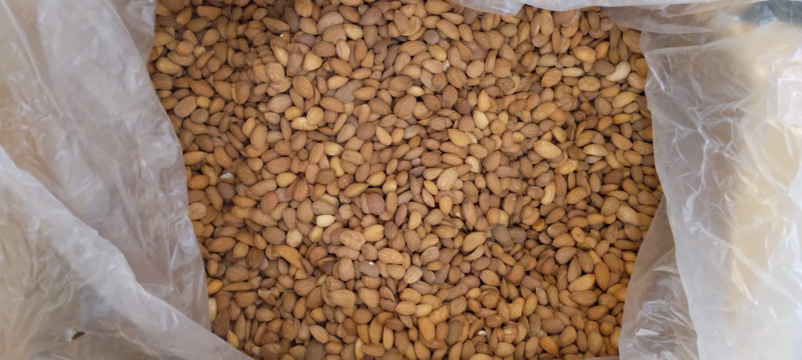 Afghani Gurbandi Almond (1 box -14 kg )