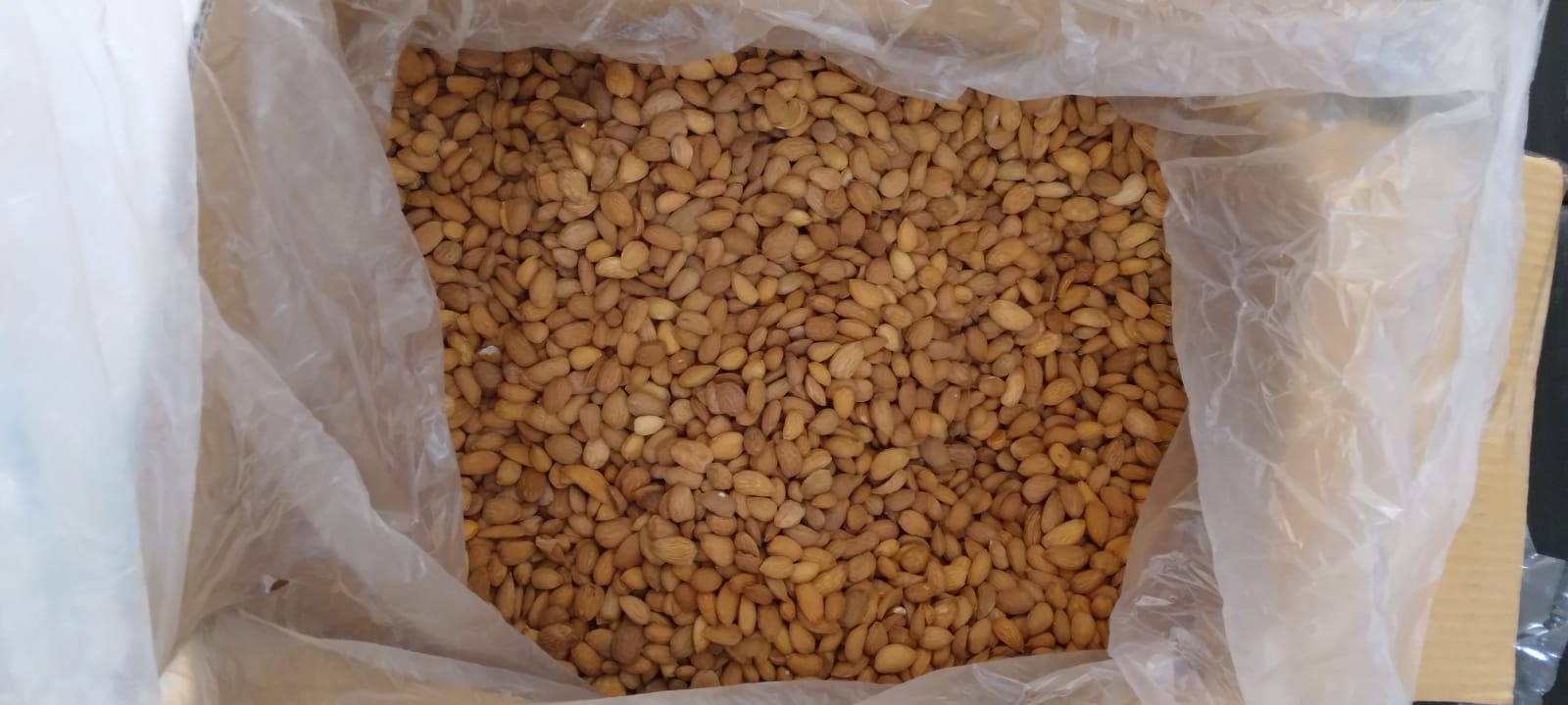 Afghani Gurbandi Almond (1 box -14 kg )